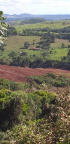 Fazenda à venda, 968000 m² por r$ 2.000.000,00 - fazenda velha - nova laranjeiras/pr - Foto 3