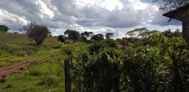 Fazenda à venda, 968000 m² por r$ 2.000.000,00 - fazenda velha - nova laranjeiras/pr - Foto 10