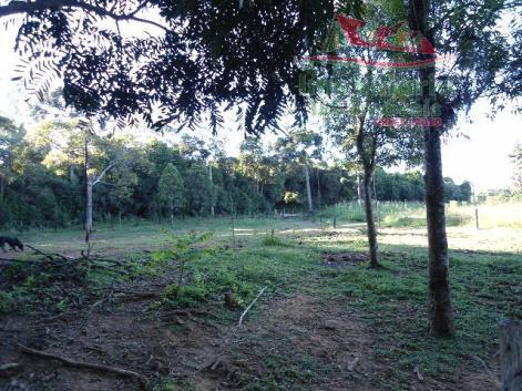 Chácara rural à venda, campo largo da roseira, são josé dos pinhais - ch0026. - Foto 12