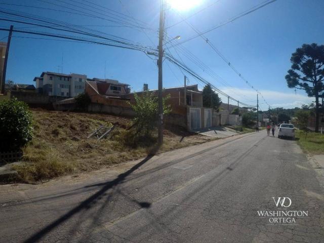 Terreno à venda, 280 m² por r$ 200.000 - santo antônio - são josé dos pinhais/pr - Foto 3