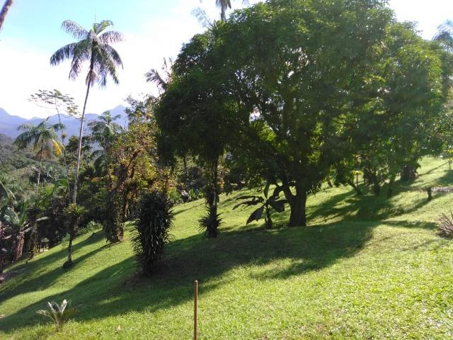 Chácara - São João da Graciosa - Morretes - Foto 6