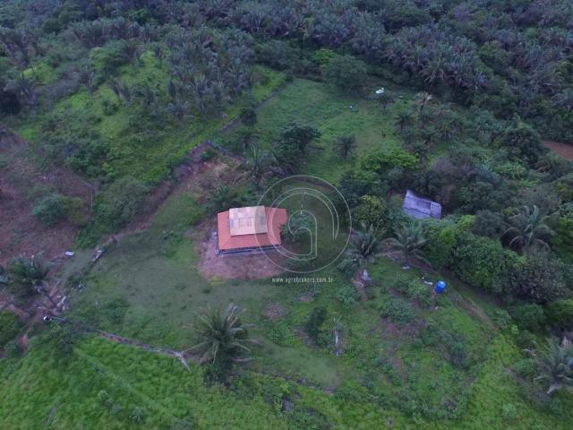 Sítio 80 ha santo antonio do leverger - Foto 15