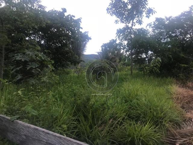 Sítio 80 ha santo antonio do leverger - Foto 11