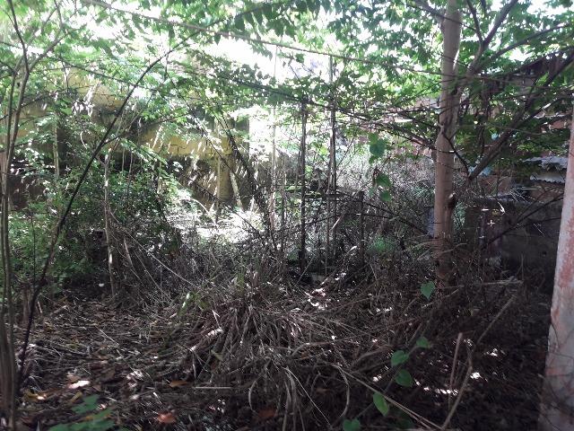 Casa antiga na Av. Caxangá, Iputinga - Foto 10