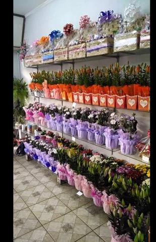 Vende se Floricultura 90.000,00 - Foto 2