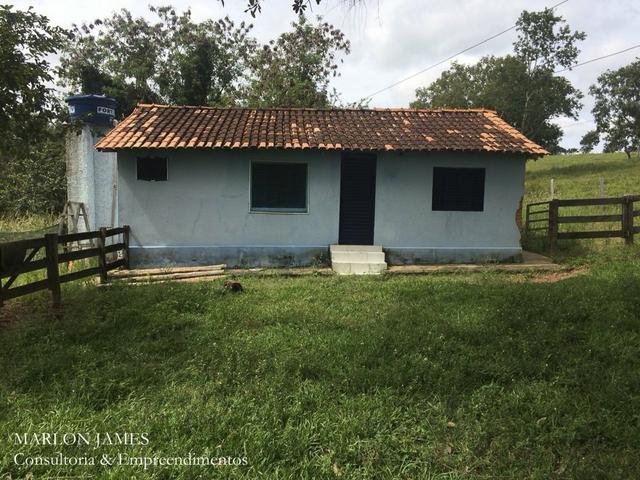 Fazenda no Município de Ipameri-Go - Foto 17