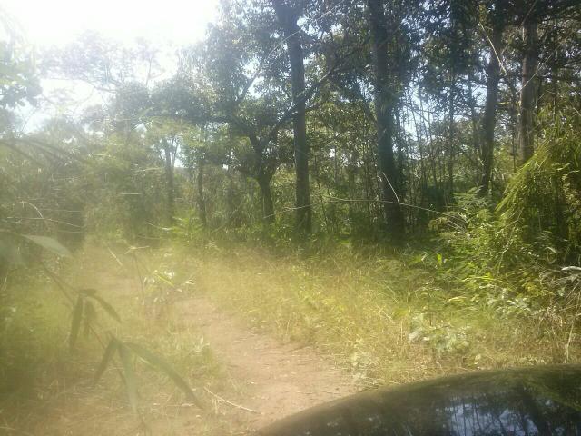 Vendo urgente 400 Alqueires 100 km de Palmas To - Foto 4