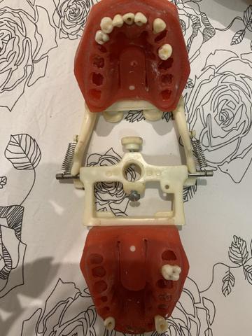 Manequim para endodontia - Foto 3