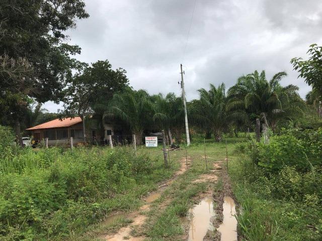 Vendo ou troco por carro ou gado - Foto 9