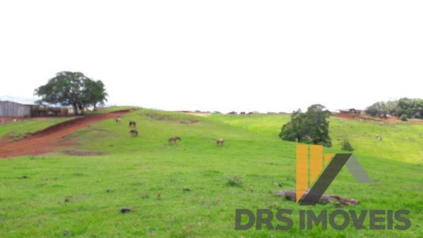 Rural sitio - Bairro Centro em Pitanga - Foto 10