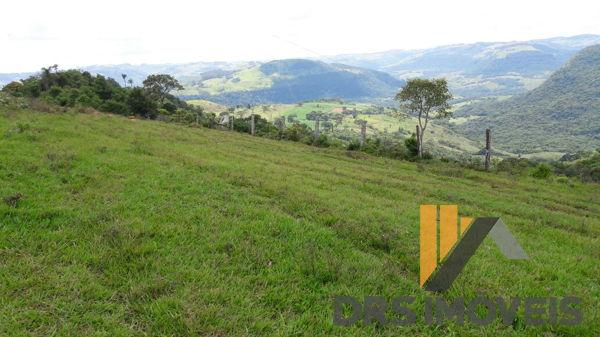 Rural sitio - Bairro Centro em Pitanga - Foto 2