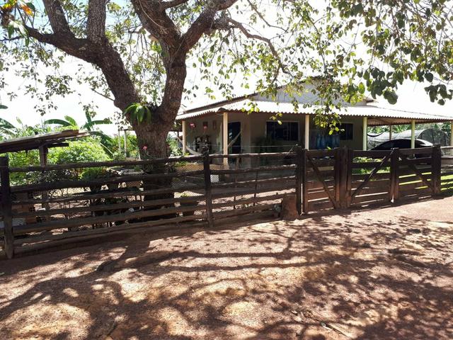 Fazenda de 462 Ha , 300 Ha Lavoura . Redenção - PA .permuta 70% em Fazenda no Paraná - Foto 15