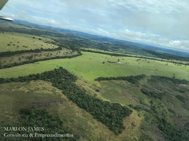 Fazenda em Caiapônia-Go - Foto 3