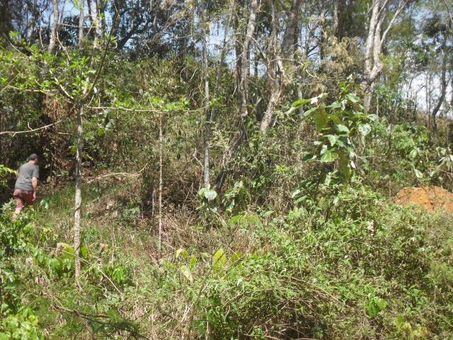 Terreno Teresopolis - Albuquerque - 1.670 metros - Foto 3