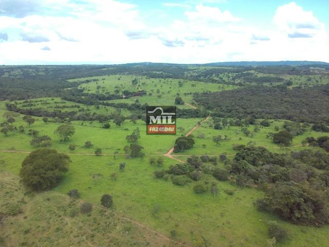 Fazenda 25 Alqueires ( 121ha) Hidrolândia-GO - Foto 16