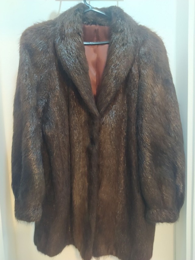 Conjunto de Casaco e chapéu de pele de Nutria  - Foto 2