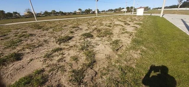Excelente terreno, fica na ponta de uma quadra triangular. Frente leste. Só um vizinho, no - Foto 7