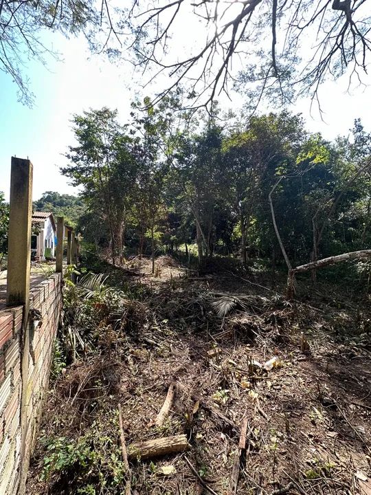 Vende-se terreno 12x40 Localização: Rua Sairé  - Foto 4