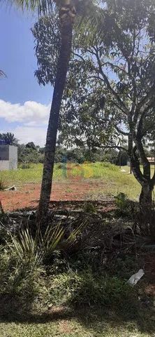 VENDO TERRENO/LOTE NO LOTEAMENTO MAR E SOL - Foto 3