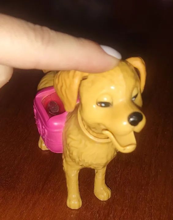 Cachorro da Barbie 