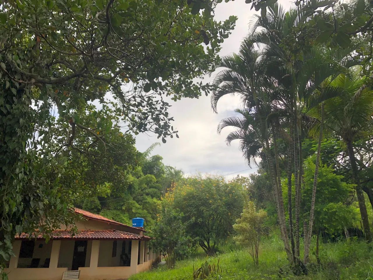 Chacara em santa barbara go - Foto 7