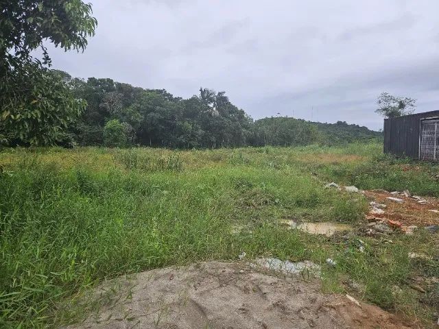 Terreno  - Foto 5