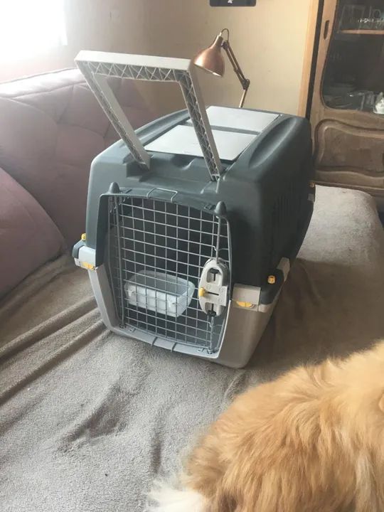 CAIXA de transporte Pet VIAGEM INTERNACIONAL - Foto 2