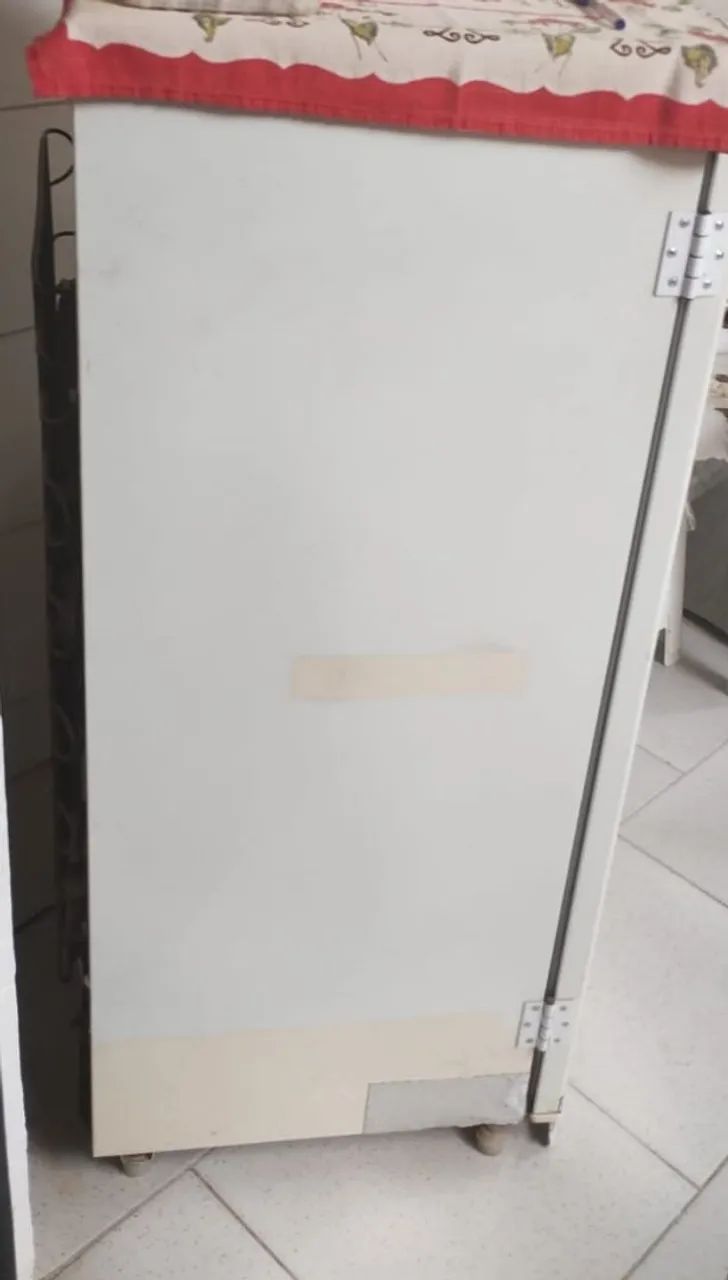 Freezer Electrolux Fe 18 - Foto 5