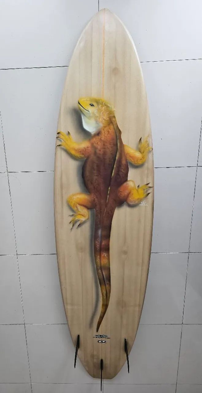 Prancha Surf/Funboard 7.2