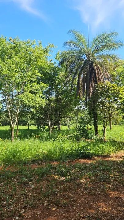 foto - Lagoa Santa - 