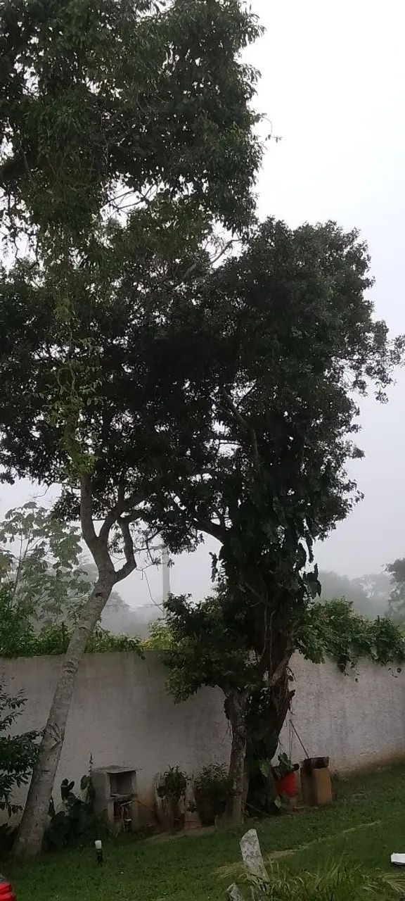 Vendo Casa com  Pousada em Búzios  - Foto 2