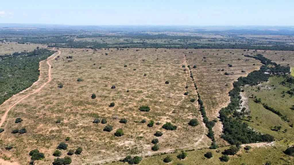 Fazenda arrendamento de 2 mil até 15 mil hect a 80km de Guiratinga MT. R$: combinar