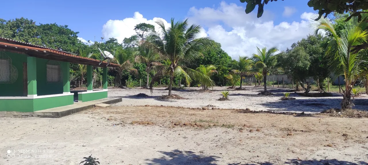 Vendo chácara com 5.000 mil metros quadrados em Nova Viçosa Bahia