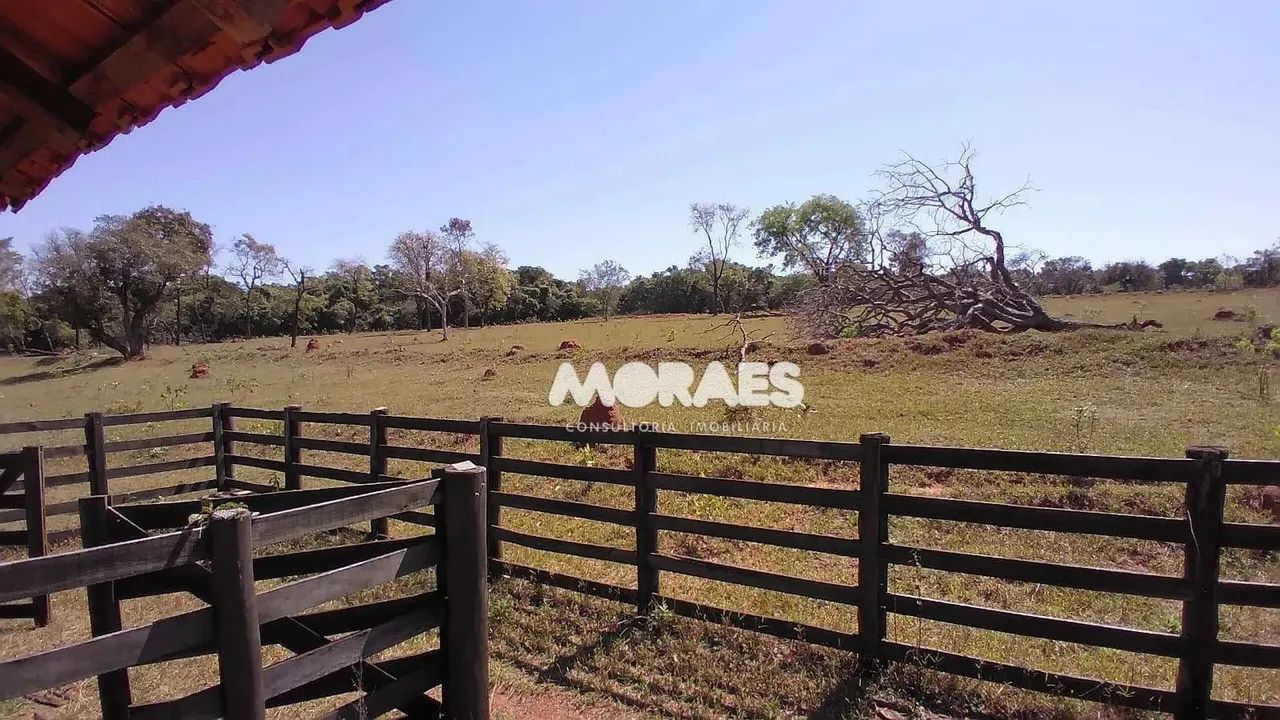 Sítio à venda, 5 Alqueires Paulista por R$ R$ 1.350.000 - Bauru/SP - Foto 7