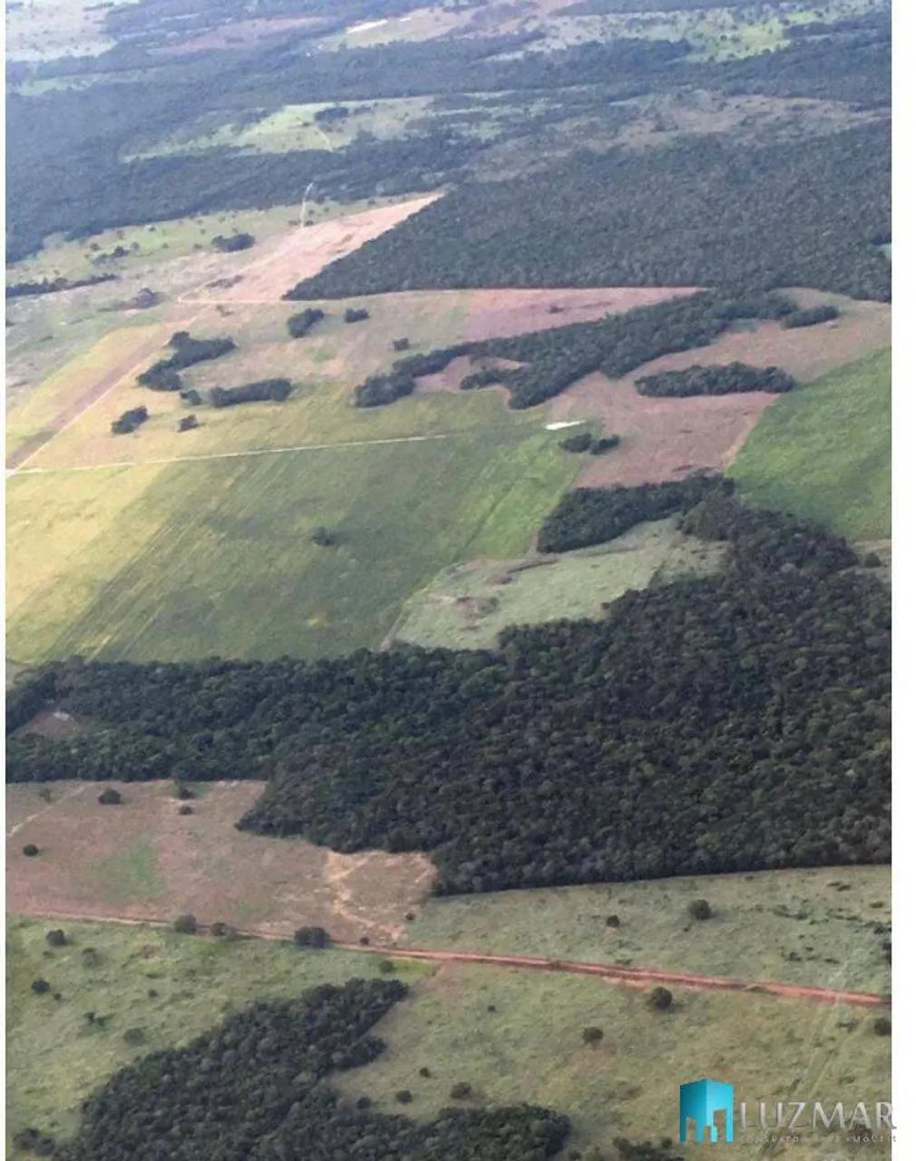Fazenda de Soja em Tocantins região de Gurupi - Foto 2