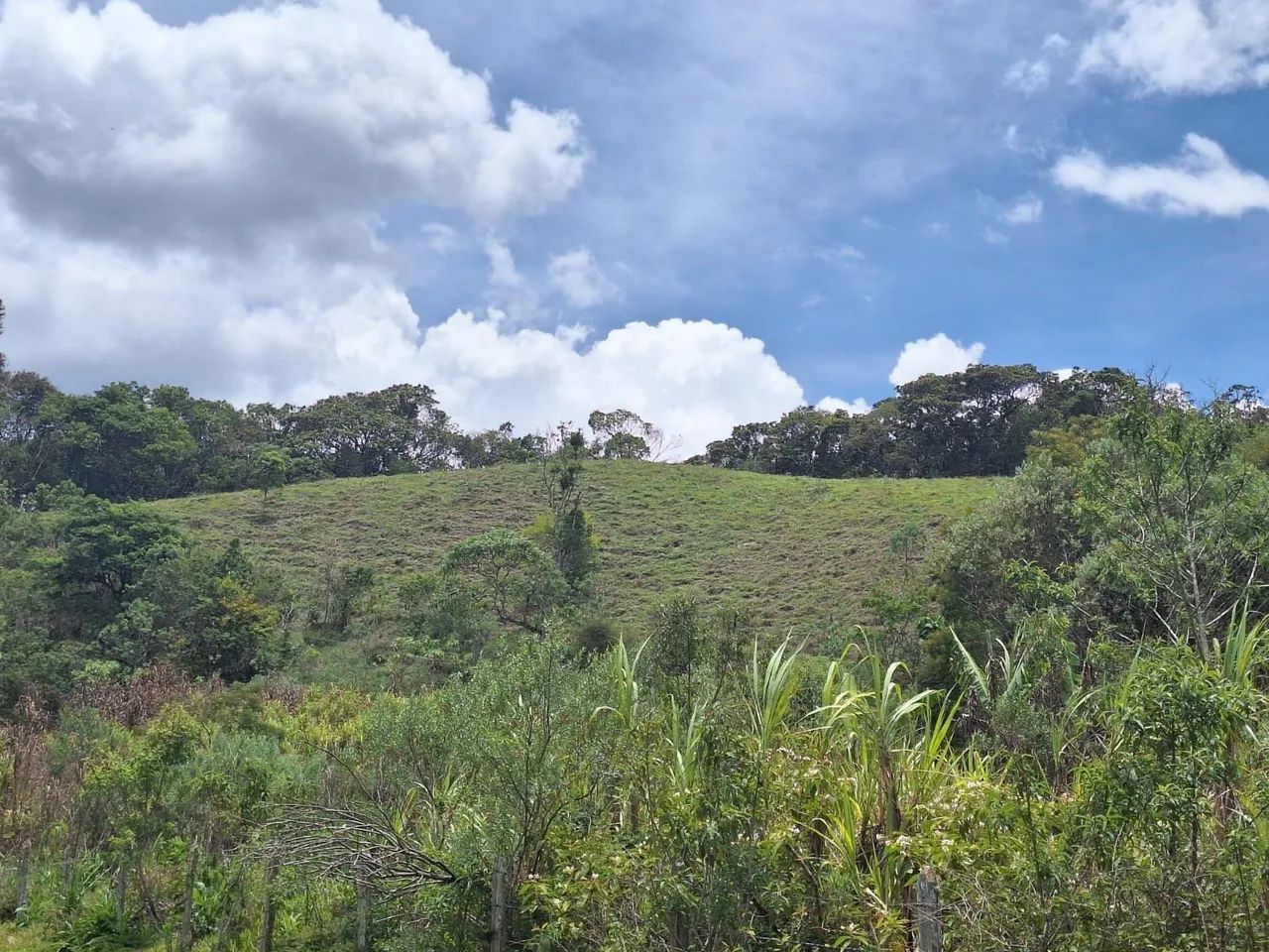 Terreno 40.000m², Delfim Moreira /MG - Foto 5