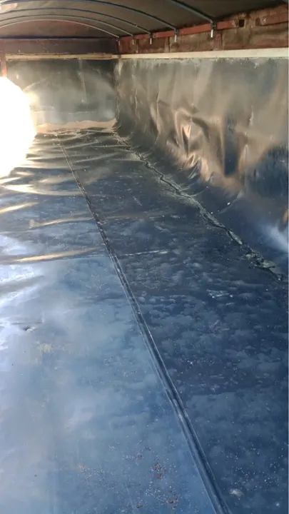 CARRETA BASCULANTE VANDERLEIA PASTRE 2017 - Foto 4