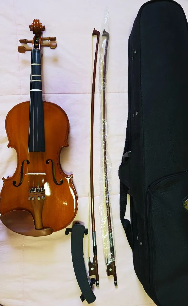 Violino Michael 4/4 acompanha acessórios