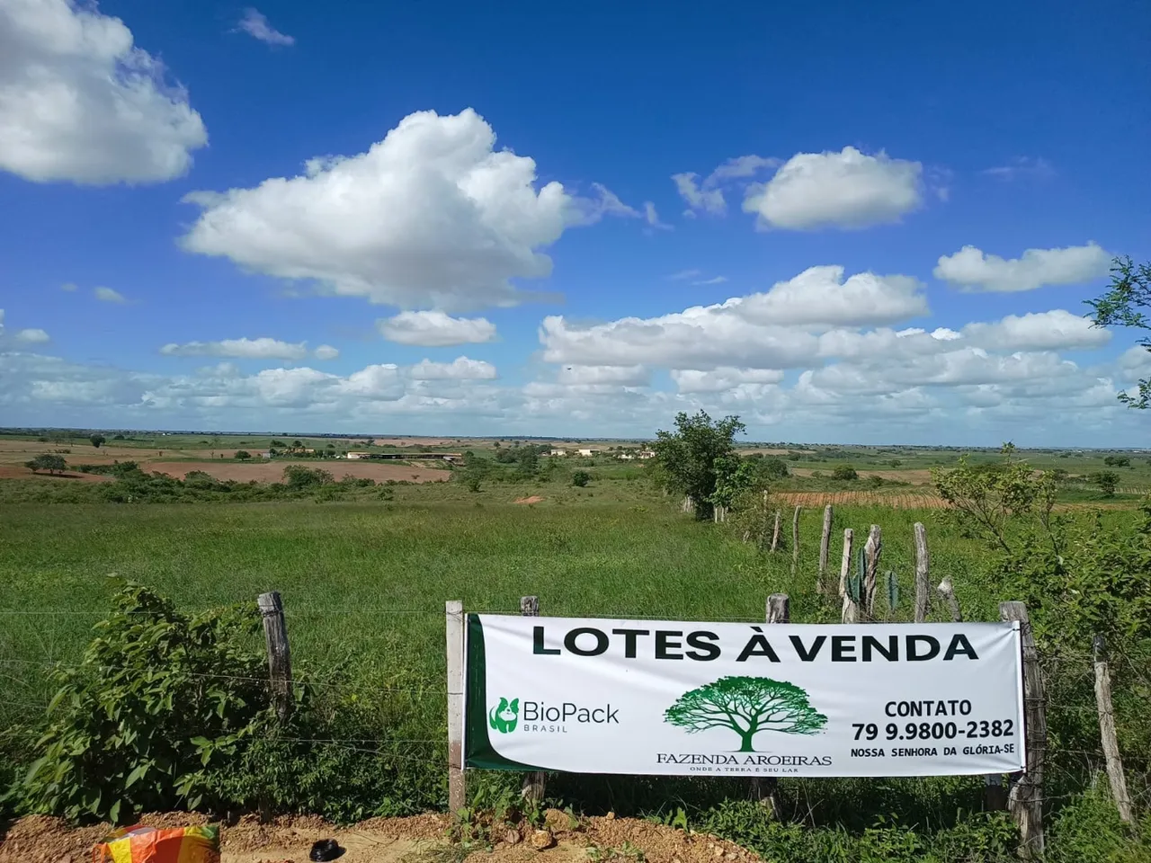 Venda de lotes