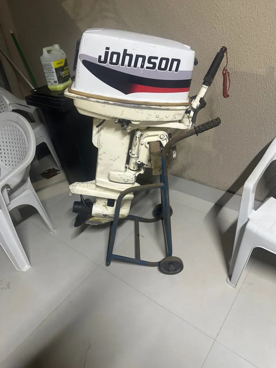 Motor Polpa 25 johnson