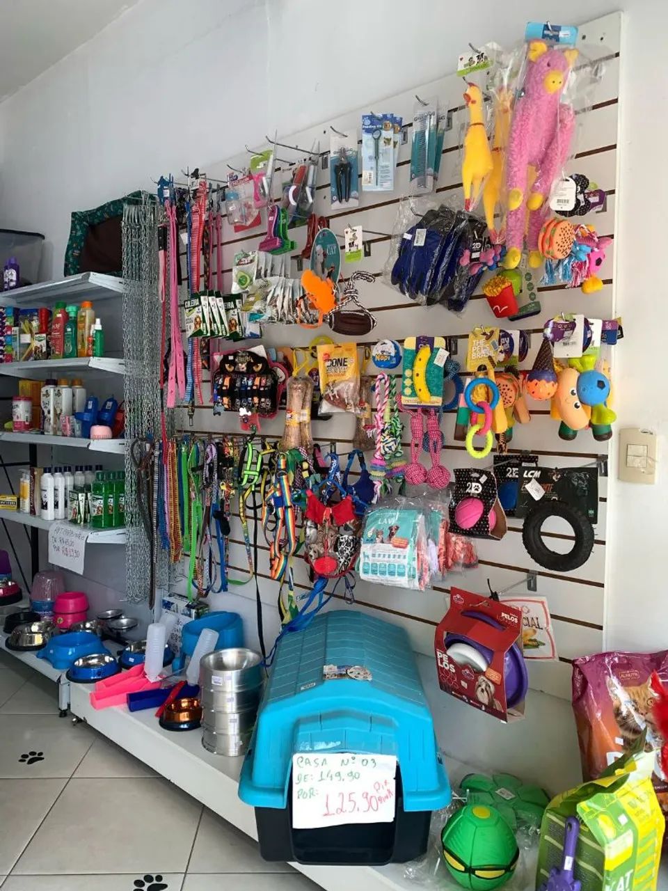 Passo Pet Shop Santa Teresa - Aceito Proposta  - Foto 5