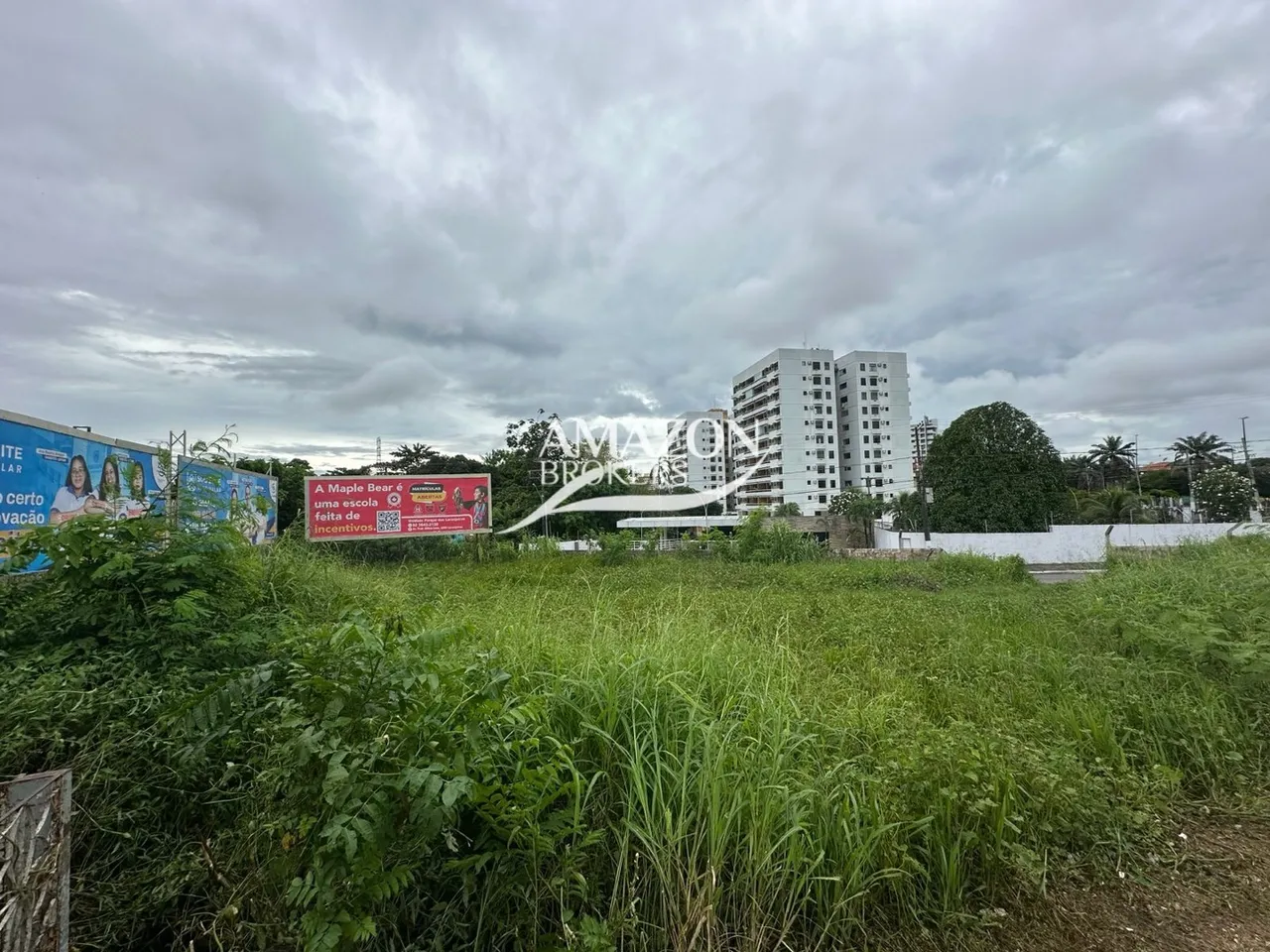 Parque 10 - Terreno de 1.140 m2 - Alugo