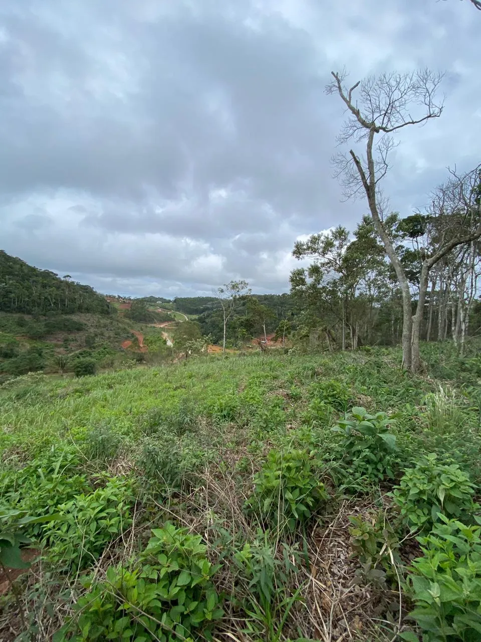 IMPERDÍVEL - TERRENO NO CARAVAGGIO EM SANTA TERESA