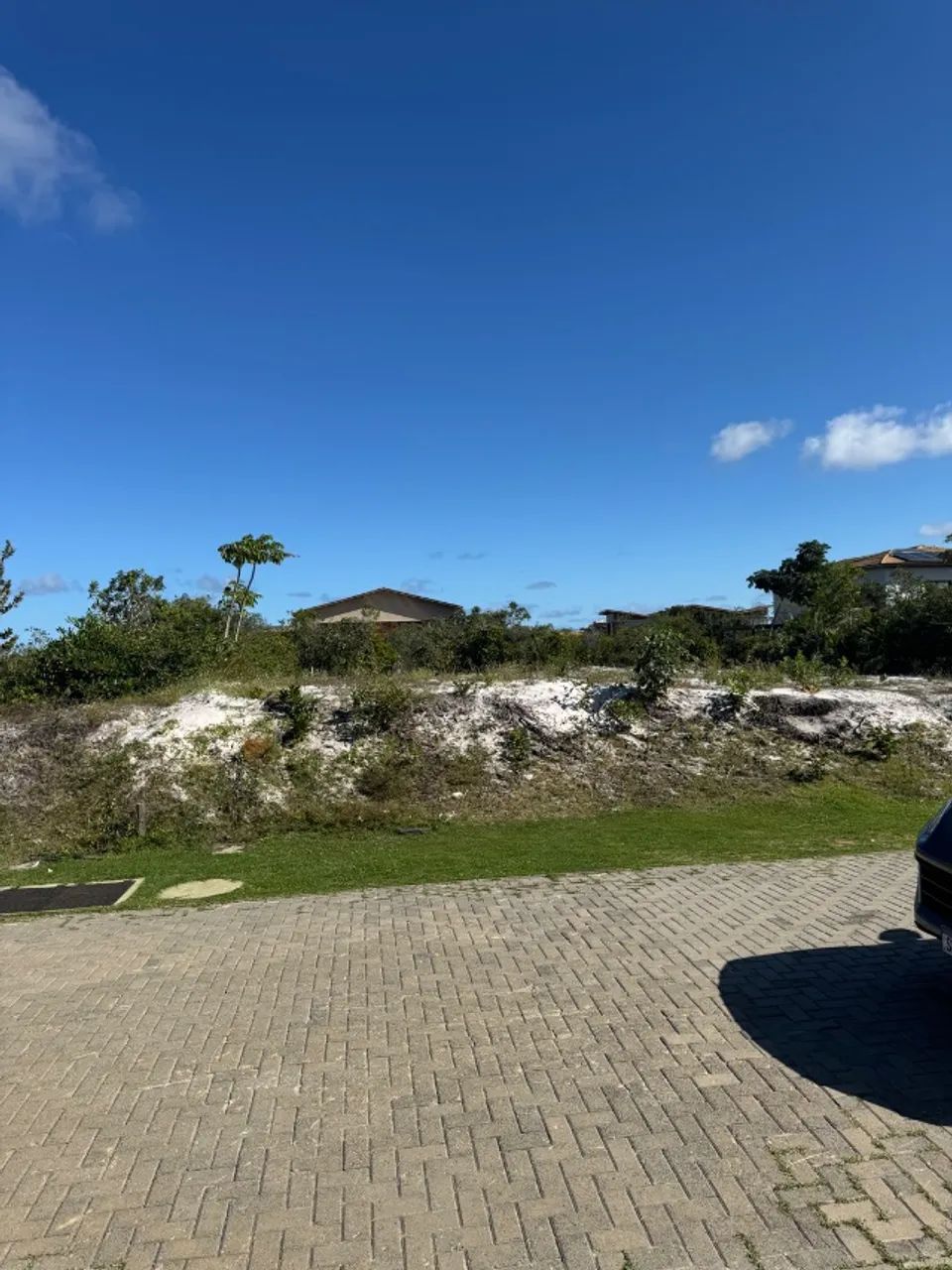Foto - Mata de São João - Praia do Forte