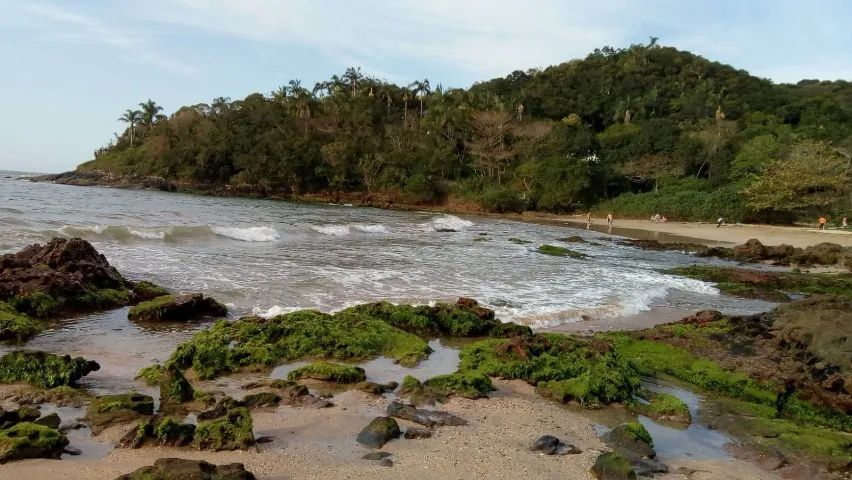 Terreno  - Foto 4