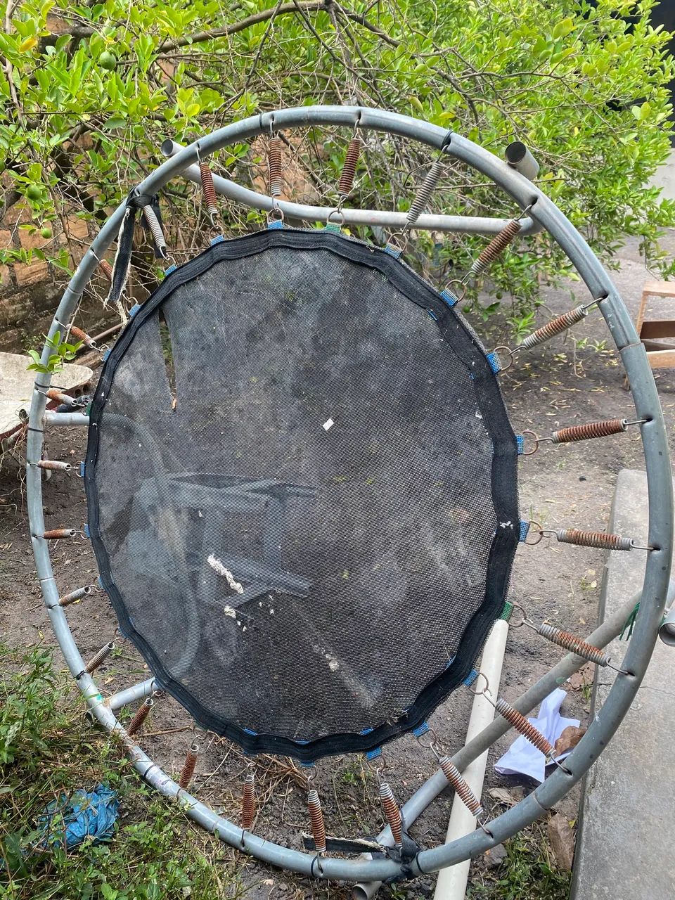 Pula pula P para reformar 