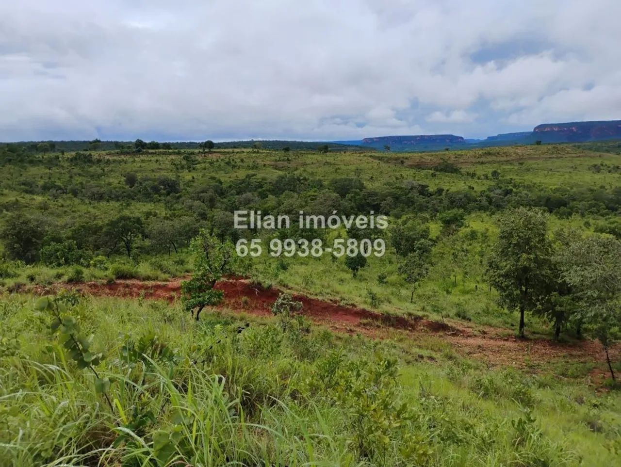 Oportunidade! Chácara de 52,6 Hectares à Venda - Foto 3