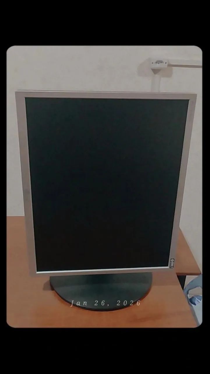 Monitor LG 19POL