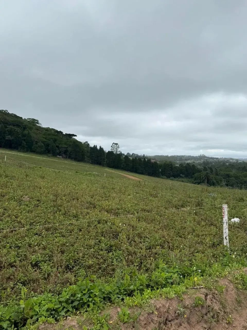 Lotes 500m² em Cotia/SP: Seu Novo Endereço sem Taxa de Condomínio! - Foto 7