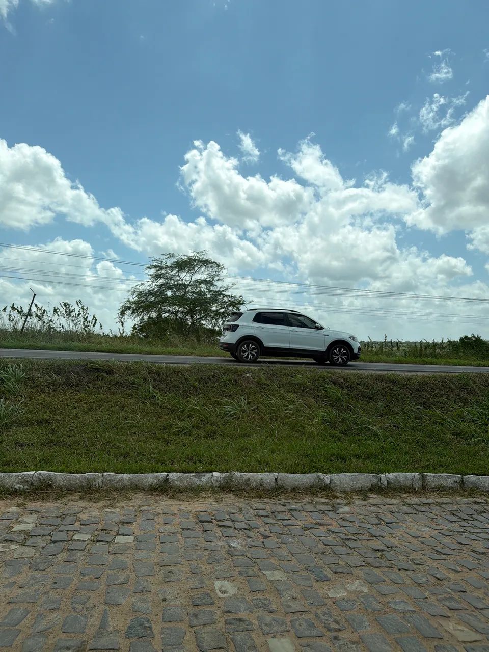 Terreno na BR 406 - Foto 5